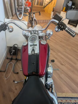 Harley Davidson Softail Custom