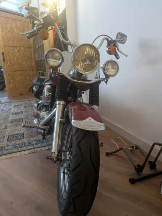 Harley Davidson Softail Custom