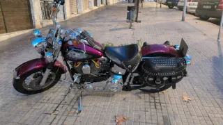 Harley Davidson Softail Custom