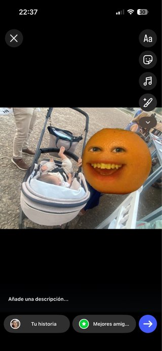 Carro Peg Perego