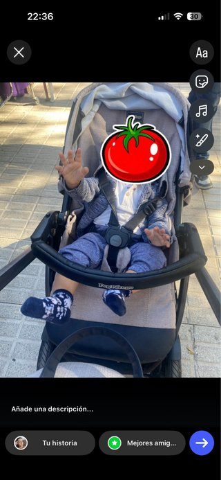 Carro Peg Perego