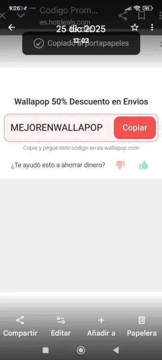 Pantalón hippie acampanado carnaval festival