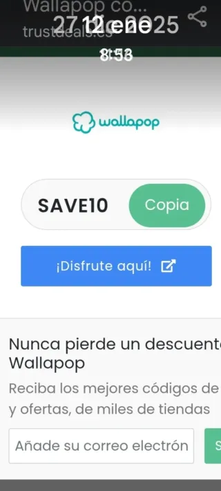 Disfraz Pantalón hippie  carnaval festival fiesta