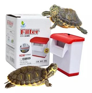 Tortuga Pack para mini acuario calentador y filtro