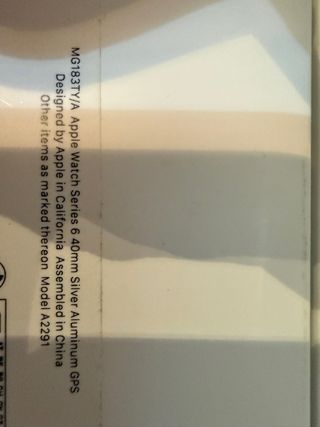 Apple Watch Series 6 40MM Argento