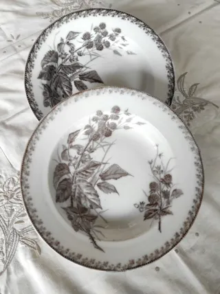 2 piatti fondi Richard 1890