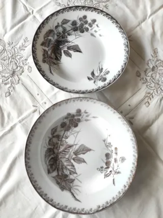 2 piatti fondi Richard 1890