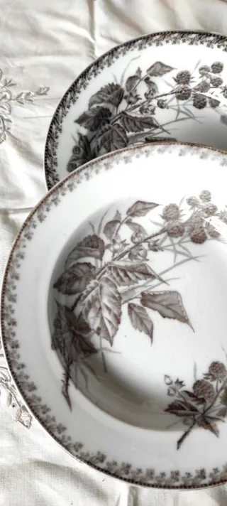 2 piatti fondi Richard 1890