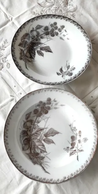 2 piatti fondi Richard 1890