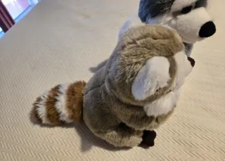 Set 2 Peluche Trudi Cane Husky e Procione