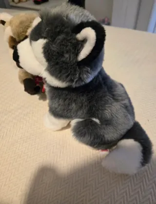 Set 2 Peluche Trudi Cane Husky e Procione