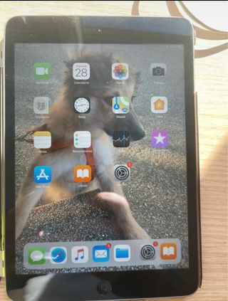 Set di dispositivi Apple: iPad Mini + Apple TV