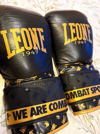 Casco y Guantes de Boxeo Ringhorns Leone