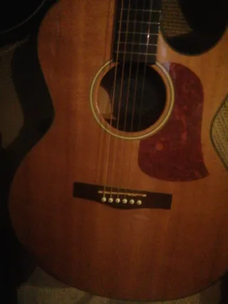 Guitarra eléctricoacust fender