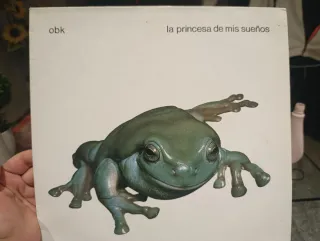 Vinilo OBK La Princesa de mis Sueños