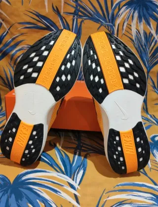 T. 45 Zapatillas Nike Pegasus Plus Lv8