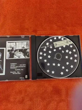 CD The Wallflowers - Bringing Down The Horse