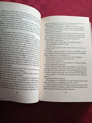 Libro. Bambini del silenzio.