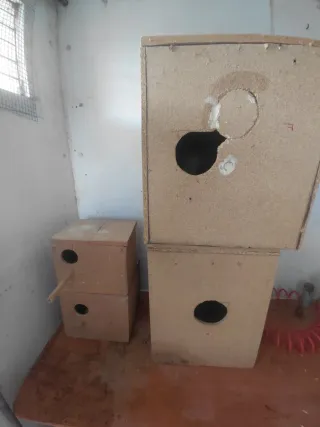 Lote de comederos y bebederos y nidos para aves