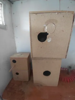 Lote de comederos y bebederos y nidos para aves