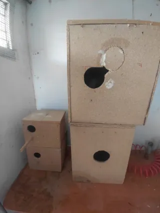 Lote de comederos y bebederos y nidos para aves