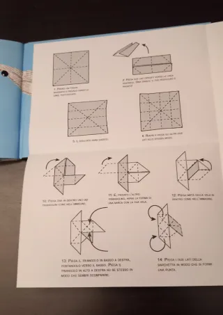 Il volo di un foglio di carta. Ediz. a caratter...