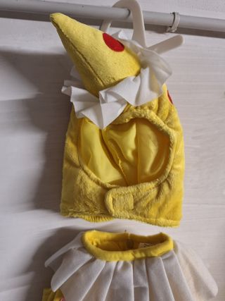 Carnevale bimbi 0-6 mesi