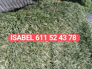 Césped artificial reciclado