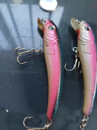 6 Señuelos de Pescar