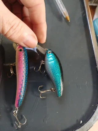 6 Señuelos de Pescar