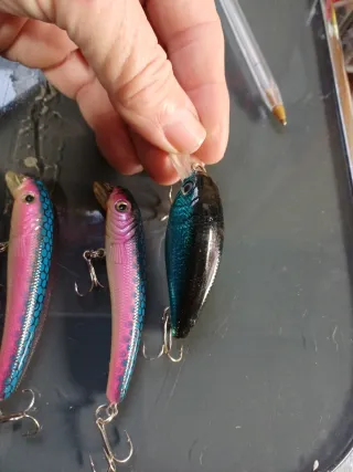 6 Señuelos de Pescar