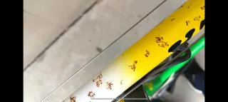 Bicicleta Orbea Caja Rural Clásica