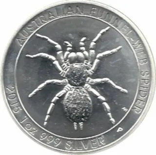 ARAÑA AUSTRALIANA 2015