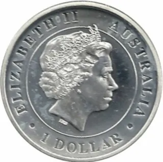 ARAÑA AUSTRALIANA 2015