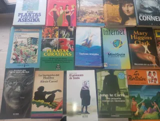 Lote libros 1 euro unidad