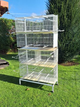 Módulo de cría para canarios