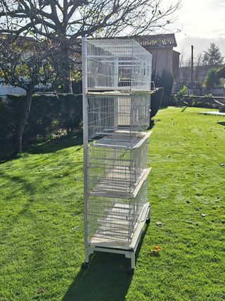 Módulo de cría para canarios