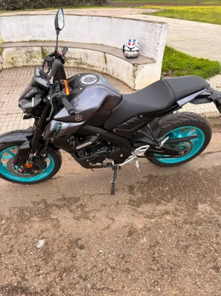 Yamaha MT-125 Naked Gris