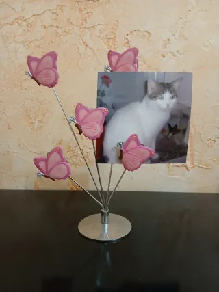 Portafoto con farfalle rosa