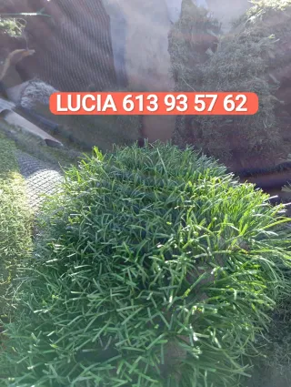 Césped artificial reciclado