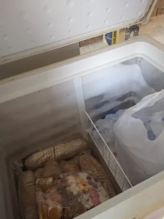 Congelador Arca Blanco