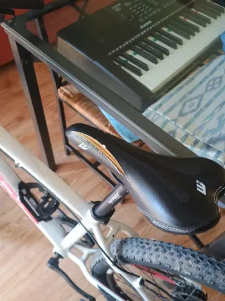 Bicicleta Montaña 24 Infantil