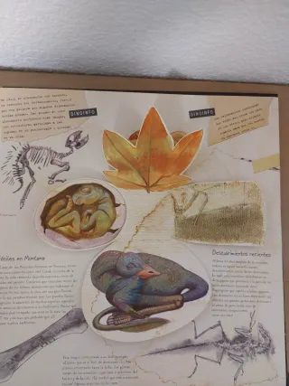 Dinosaurios (Más que un libro)