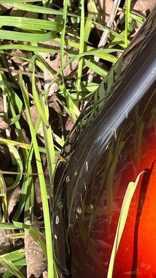 Fender Jaguar Sunburst (Japón) 99/2002