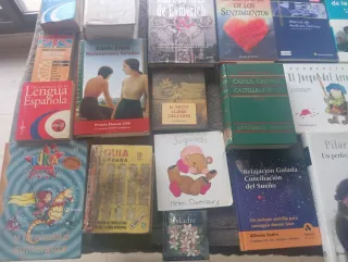 Lote de libros a 1 euro x unidad