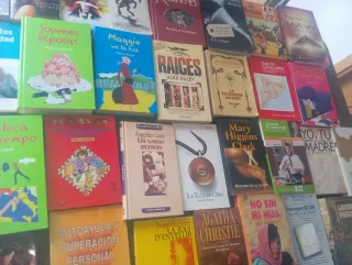 Lote de libros a 1 euro x unidad