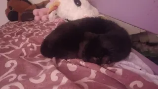 Macchina elettrica rosa usata pochissimo