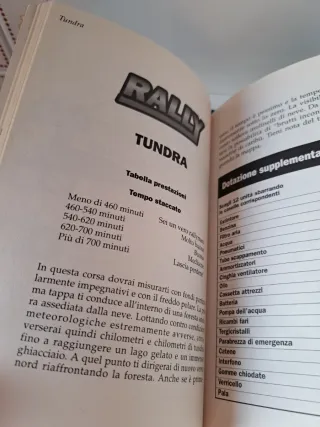 2 Libri Game "Rally" e "ControSpionaggio"