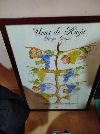 Cuadros decorativos y adorno de fruta