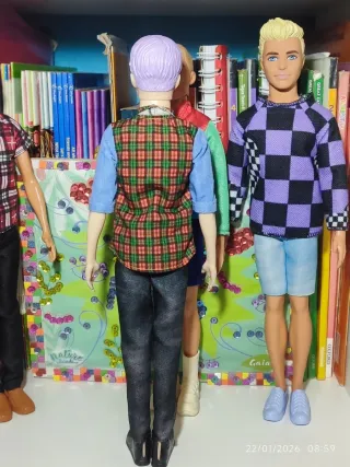 Barbie Ken Fashionista